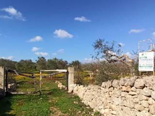 Terreno agricolo in vendita a francavilla fontana contrada palmo