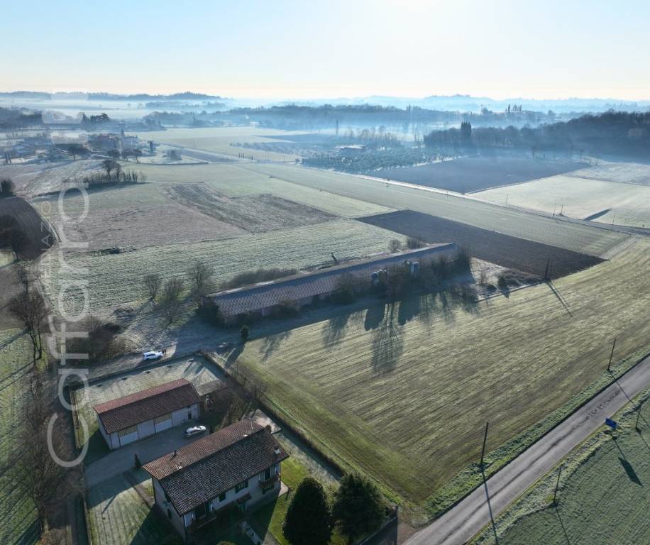immagine annuncio 3 di 6