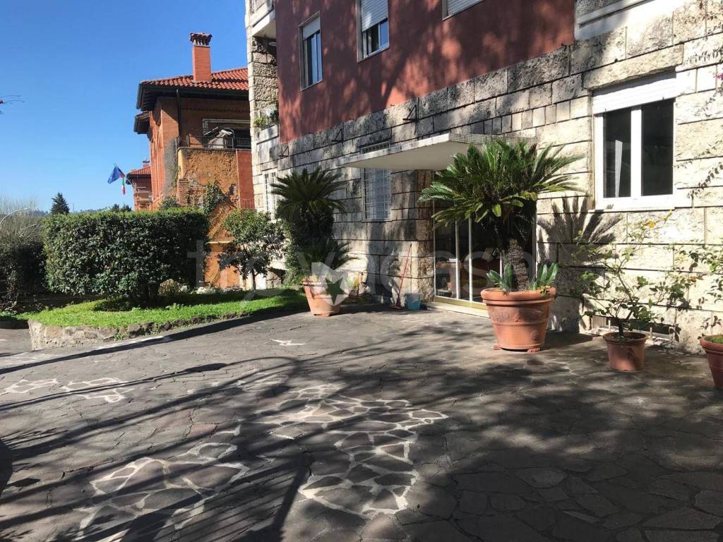 immagine annuncio 12 di 14