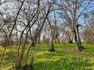 Terreno agricolo in vendita a soriano nel cimino via della guinza