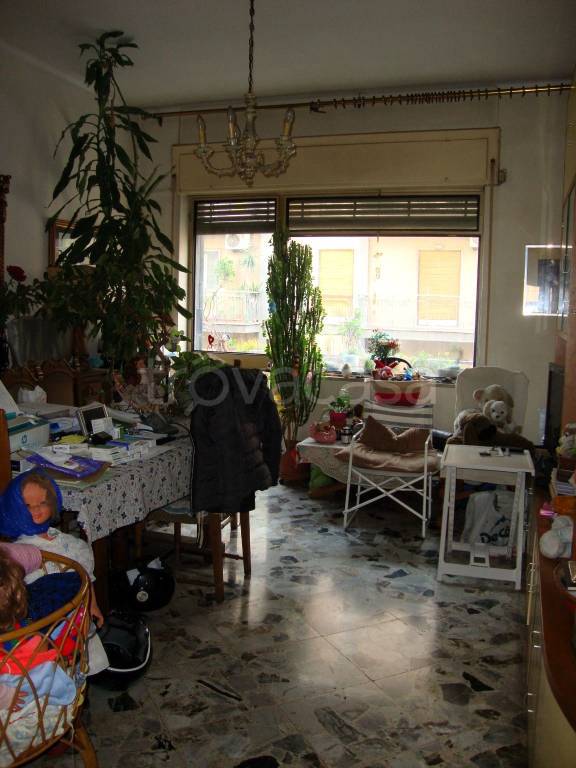 immagine annuncio 7 di 14