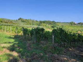 Terreno agricolo all'asta a gambassi terme sp64