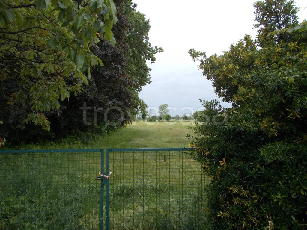 immagine annuncio 7 di 9
