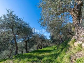 Terreno agricolo in vendita a san giuliano terme via di valle asciano, 56017 san giuliano terme pi, italia