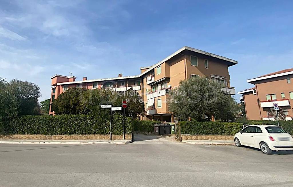 immagine annuncio 9 di 11