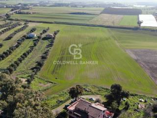 Terreno agricolo in vendita a montalto di castro località chiesa vecchia, snc