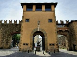 Villa in vendita ad arezzo leone leoni