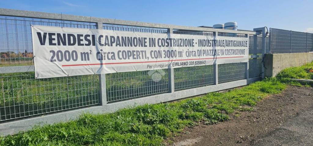 immagine annuncio 12 di 15
