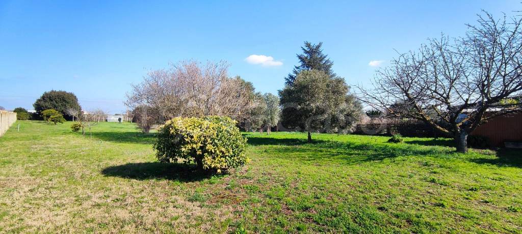 immagine annuncio 1 di 14