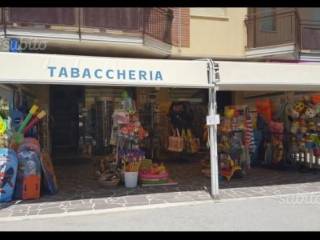 Tabaccheria in in vendita da privato a cesenatico viale melozzo da forlì, 41