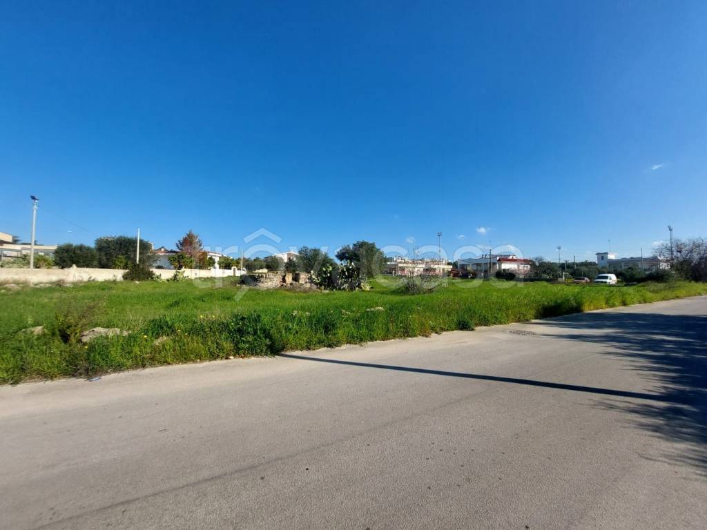 immagine annuncio 8 di 11