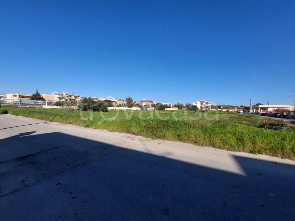 immagine annuncio 9 di 11