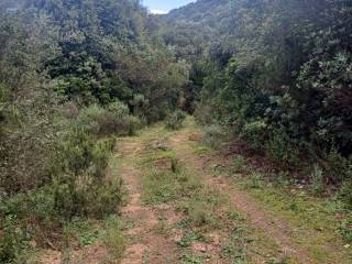 Terreno agricolo in vendita a luogosanto via san trano, 25a