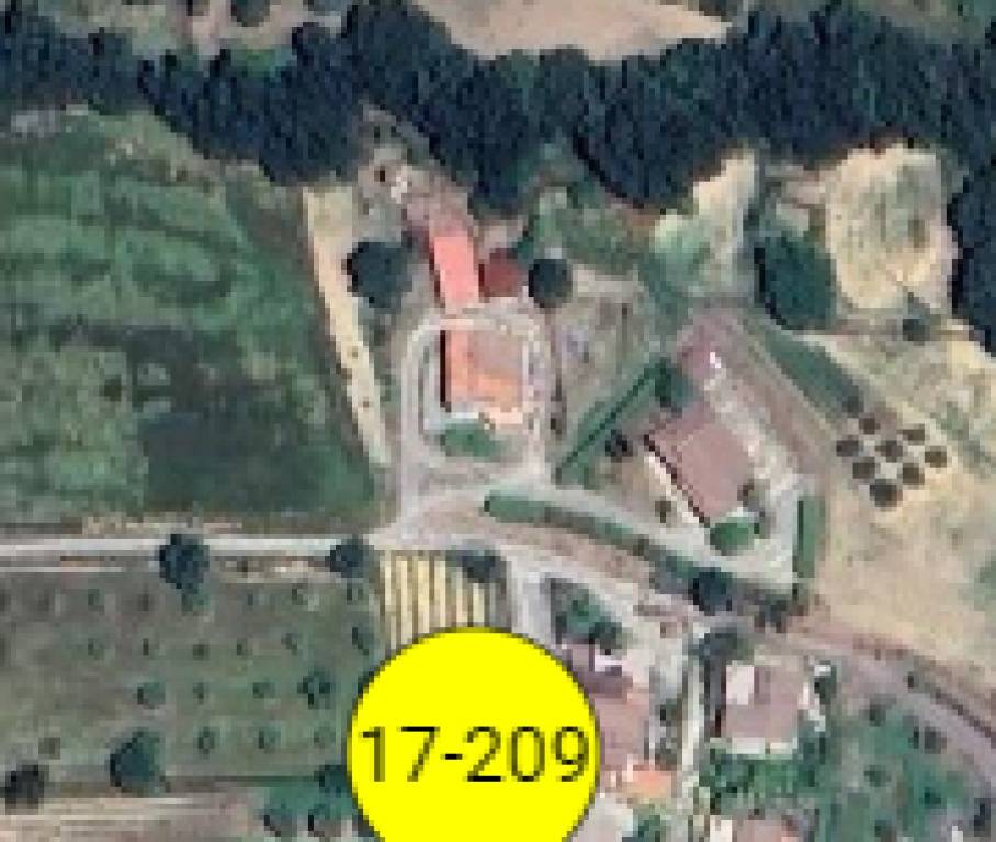 immagine annuncio 2 di 9
