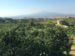 Terreno agricolo in vendita a lentini via stazione