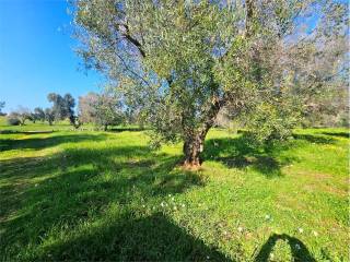 Terreno residenziale in vendita a carovigno 