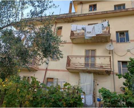 immagine annuncio 1 di 4