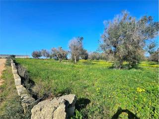 Terreno residenziale in vendita a carovigno 