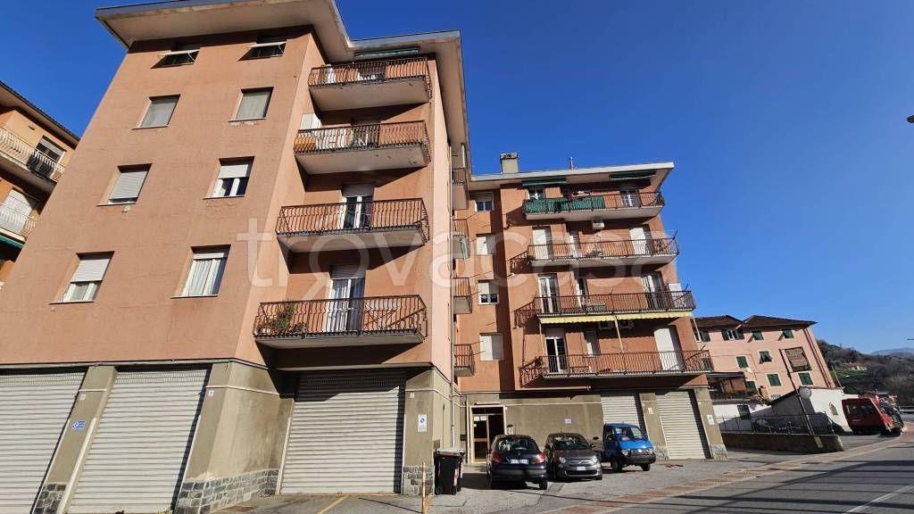 immagine annuncio 3 di 12