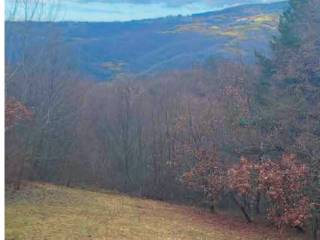 Terreno agricolo all'asta a badia calavena via perlati