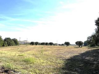 Terreno agricolo in vendita a catignano contrada sterpara