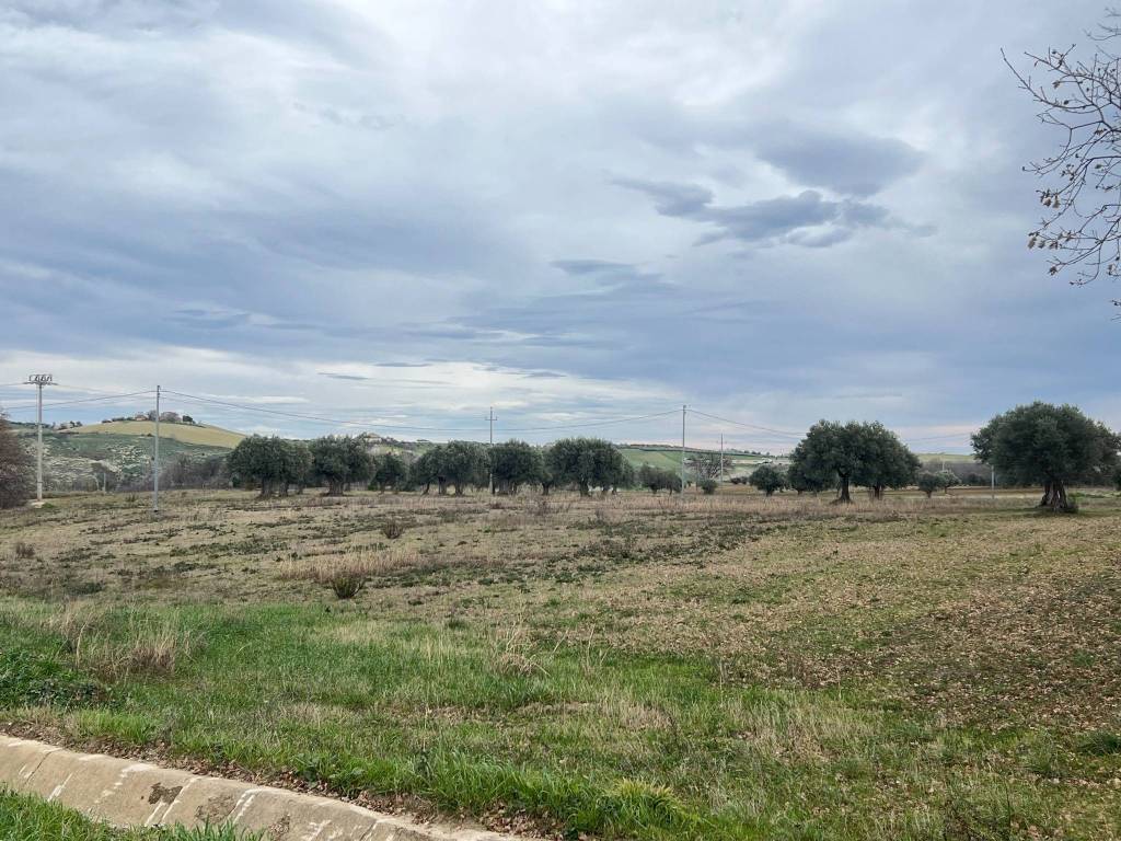 immagine annuncio 8 di 11