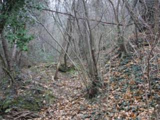 Terreno agricolo all'asta a sotto il monte giovanni xxiii via roma, 1