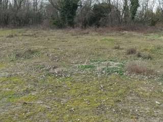 Terreno agricolo all'asta a morimondo strada statale , 526