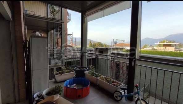 immagine annuncio 1 di 12