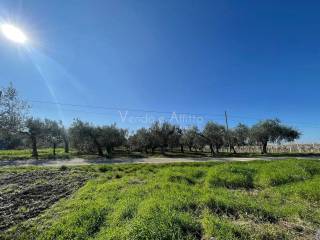 Terreno agricolo in vendita a vasto 