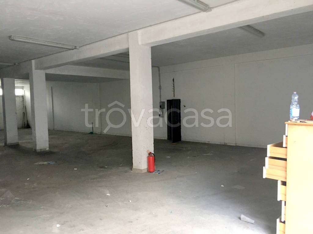 immagine annuncio 5 di 11
