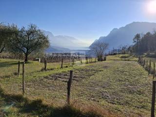 Terreno agricolo in vendita ad arco 