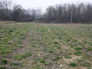 Terreno agricolo all'asta a carvico via roma, 1