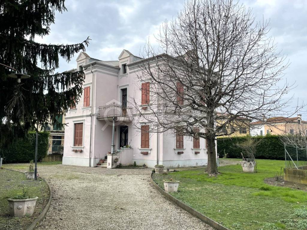 immagine annuncio 1 di 14