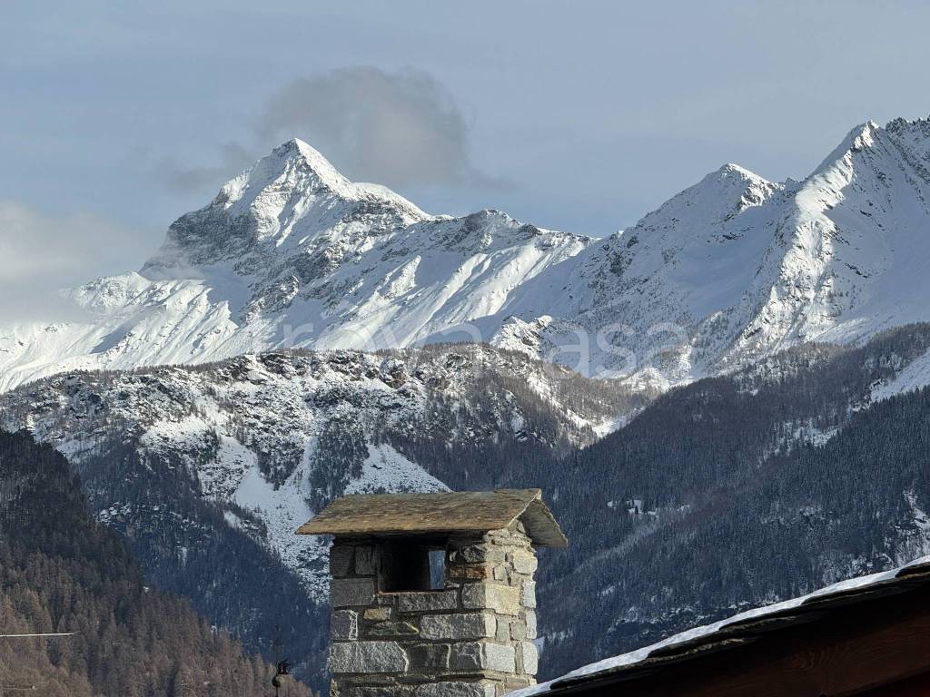 immagine annuncio 6 di 12