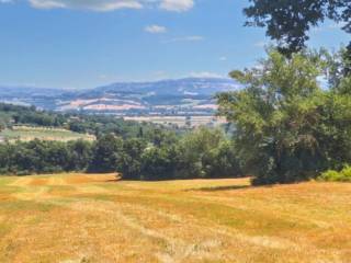 Terreno agricolo all'asta a monte castello di vibio localita paganello e montefurioso.