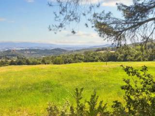 Terreno agricolo all'asta a monte castello di vibio localita paganello