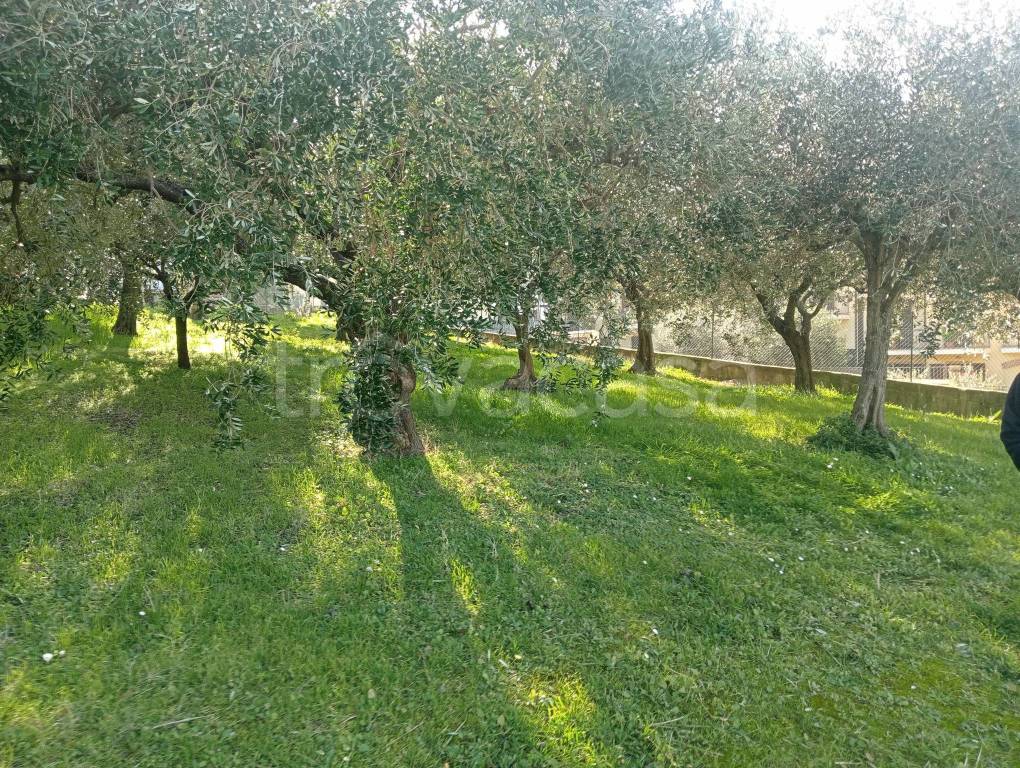 immagine annuncio 1 di 4