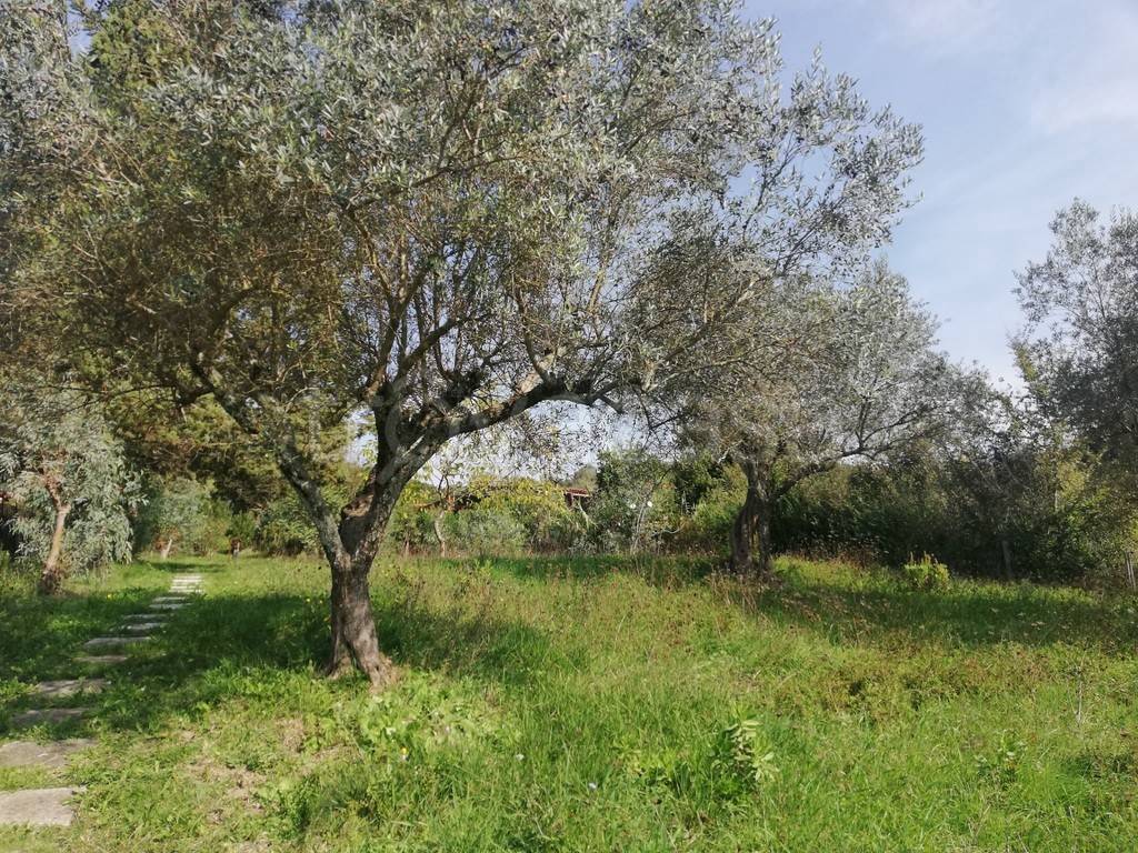 immagine annuncio 2 di 13