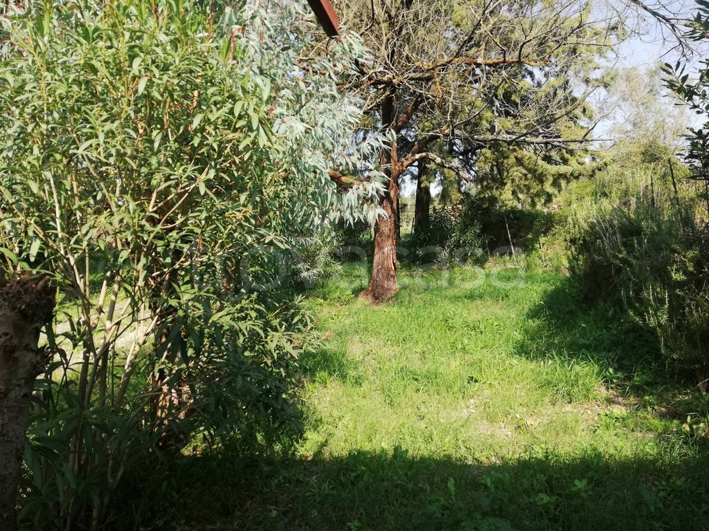 immagine annuncio 7 di 13
