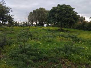 Terreno agricolo in vendita ad aci castello via lionardo vigo