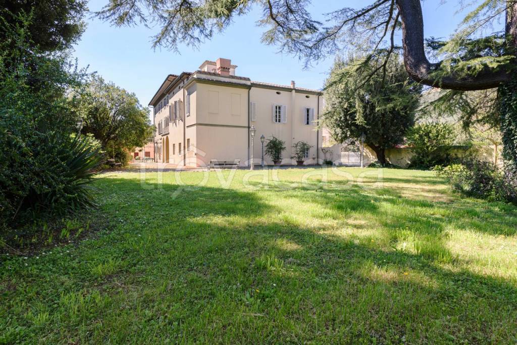 immagine annuncio 11 di 12