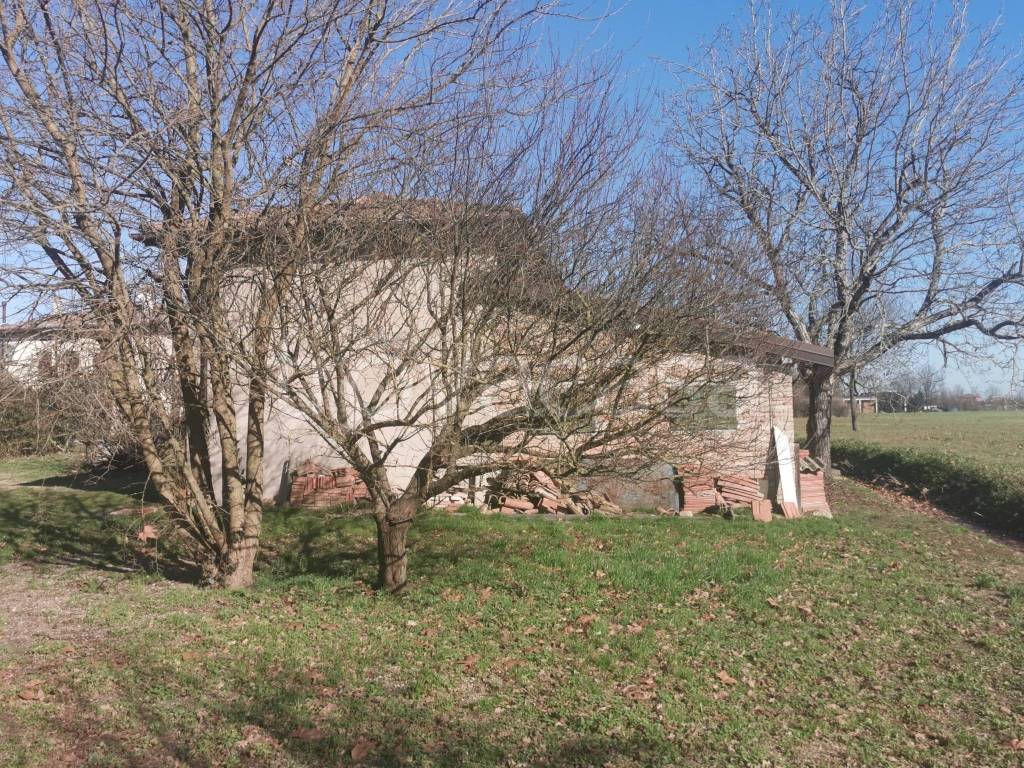 immagine annuncio 4 di 14