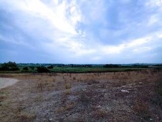 Terreno agricolo in vendita a sorso sp 60 s.n.c.