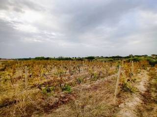 Terreno agricolo in vendita a sorso sp 29 s.n.c.