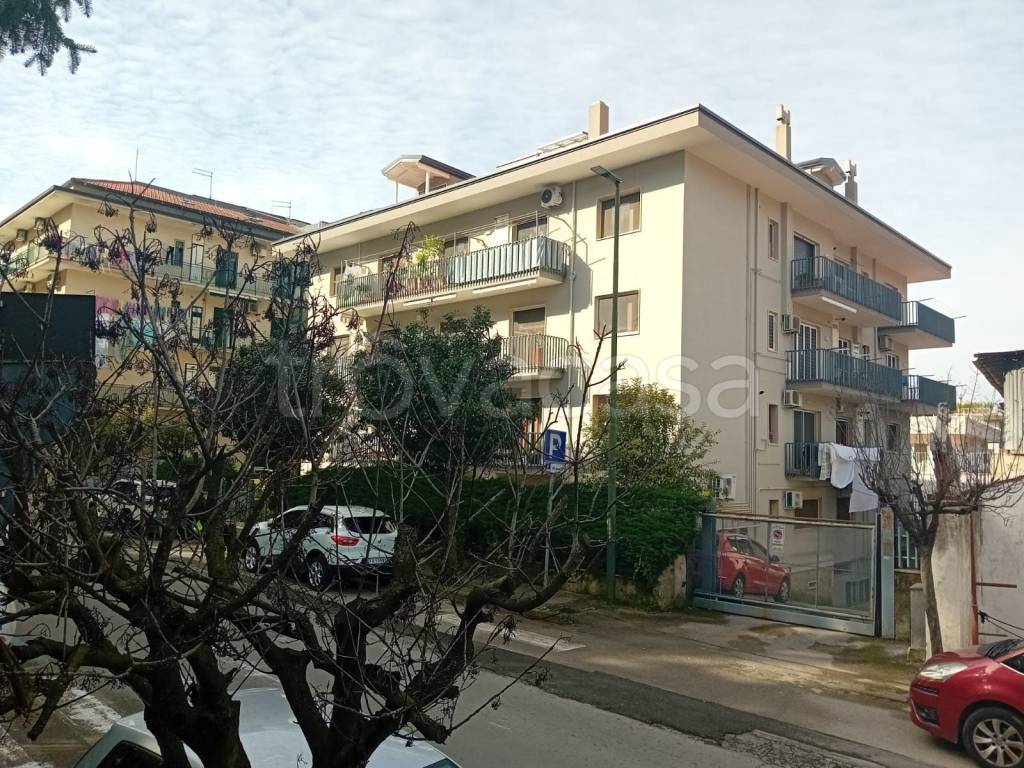 immagine annuncio 1 di 2
