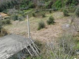 Terreno agricolo all'asta a torricella sicura piano grande