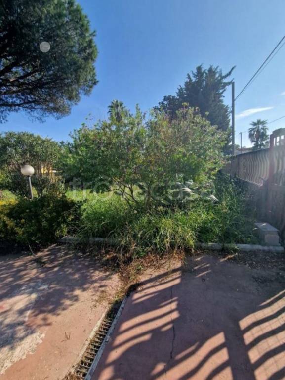 immagine annuncio 4 di 12