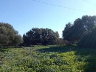 Terreno agricolo in vendita a olbia via sa istrana