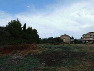 Terreno agricolo all'asta a maltignano via della stazione